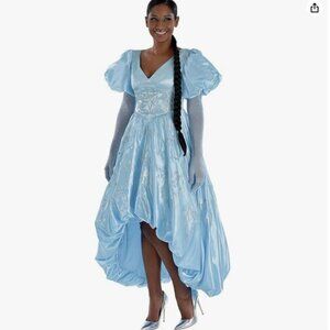 Descendants 4 Rise of Red Party City Cinderella Costume XL 14-16
